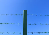 PVC tráng Lowa dây thép gai Hàng rào an ninh xanh trên hàng rào liên kết chuỗi