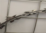 10kg / cuộn CBT - 60 dây dao cạo mạ kẽm nhúng nóng với đường kính cuộn 30cm
