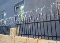 Concertina Flat Wrap Dao cạo dây sử dụng trên hàng rào hoặc tường bê tông
